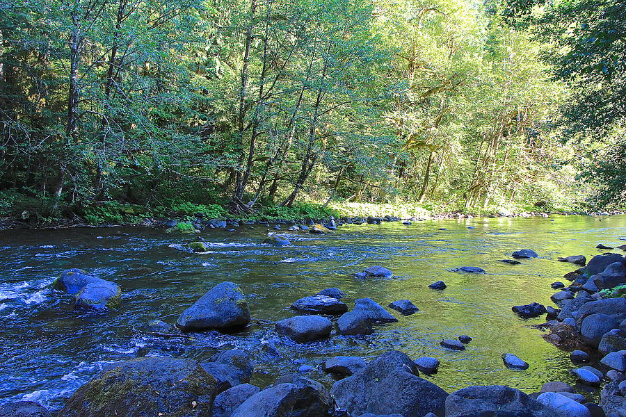 Salmon Creek Photograph by Tim Rice Fine Art America