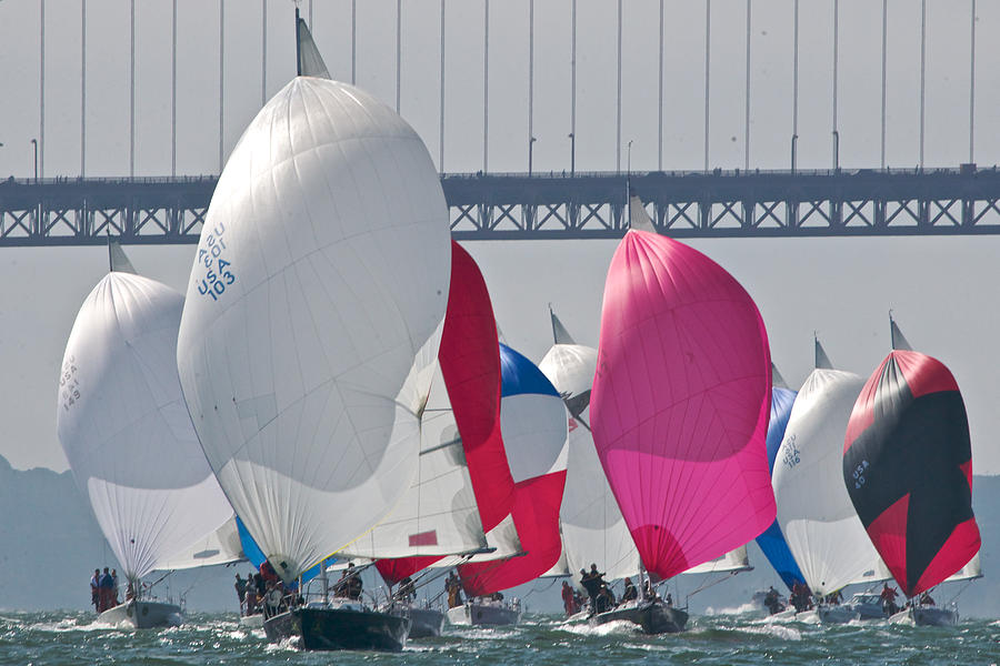 San Francisco Spinnakers #16 Photograph by Steven Lapkin