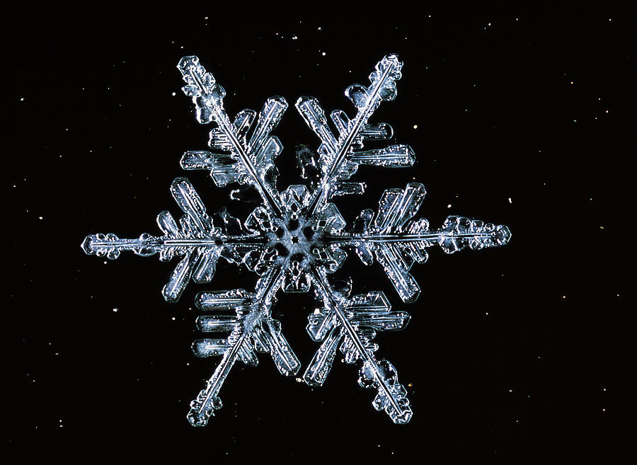 Snowflake #16 Photograph by Perennou Nuridsany