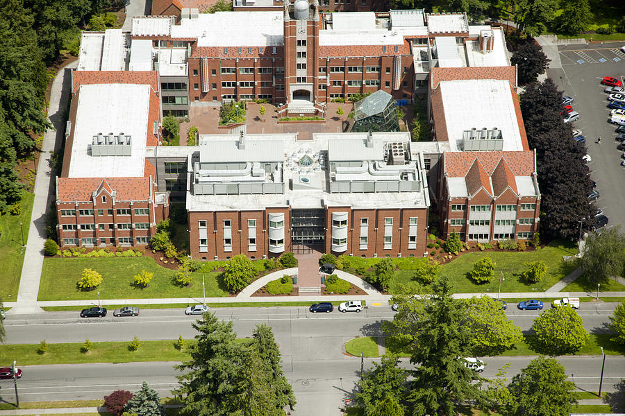 University Of Puget Sound U.p.s., Photograph by Andrew Buchanan