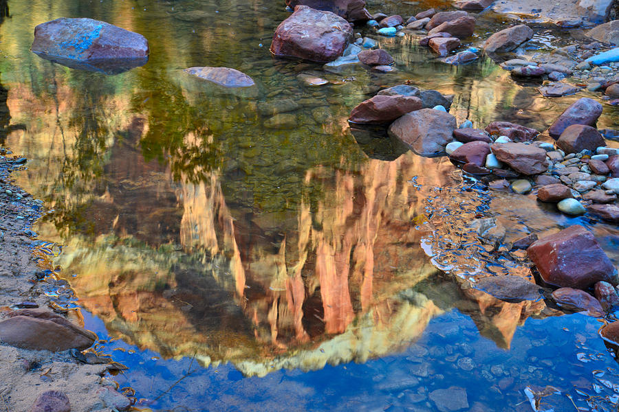 Zion National Park #17 Photograph by Ray Mathis