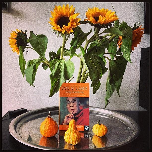 Sunflower Photograph - Instagram Photo #161364233708 by Chokolars Sorensen