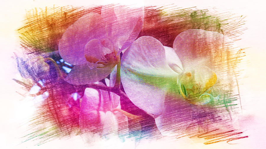 Romantic Pink Orchids Painting by Xueyin Chen