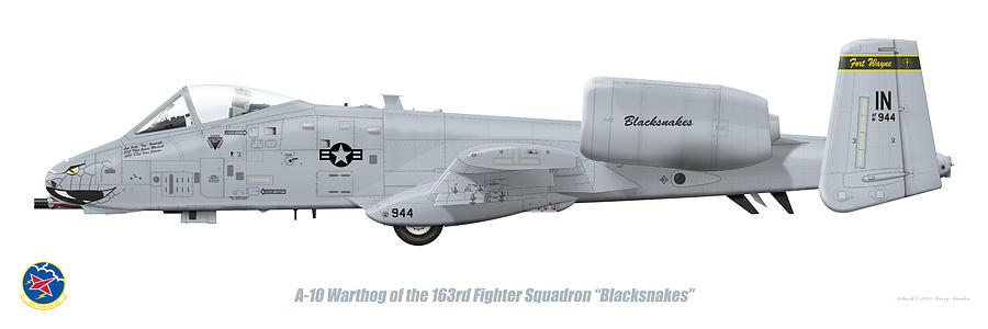 Jet Digital Art - 163rd FS A-10 Warthog by Barry Munden