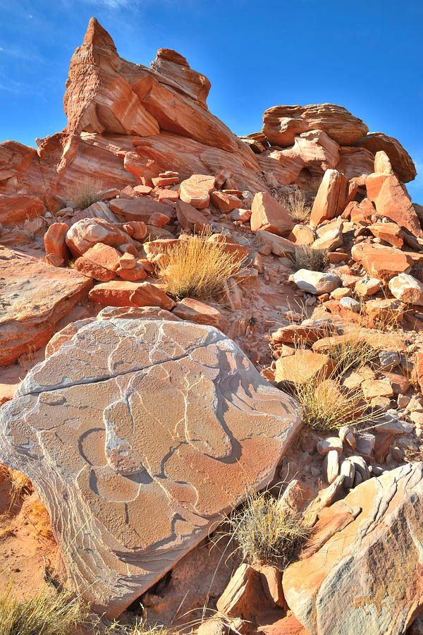 Valley of Fire #169 Photograph by Ray Mathis