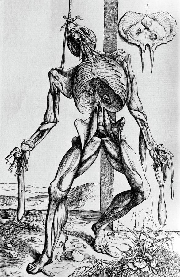 16th Century Illustration Of A Suspended Corpse. Photograph by Science Photo Library