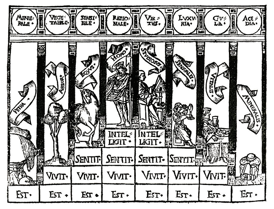 16th-century Theology Photograph by Cordelia Molloy/science Photo ...