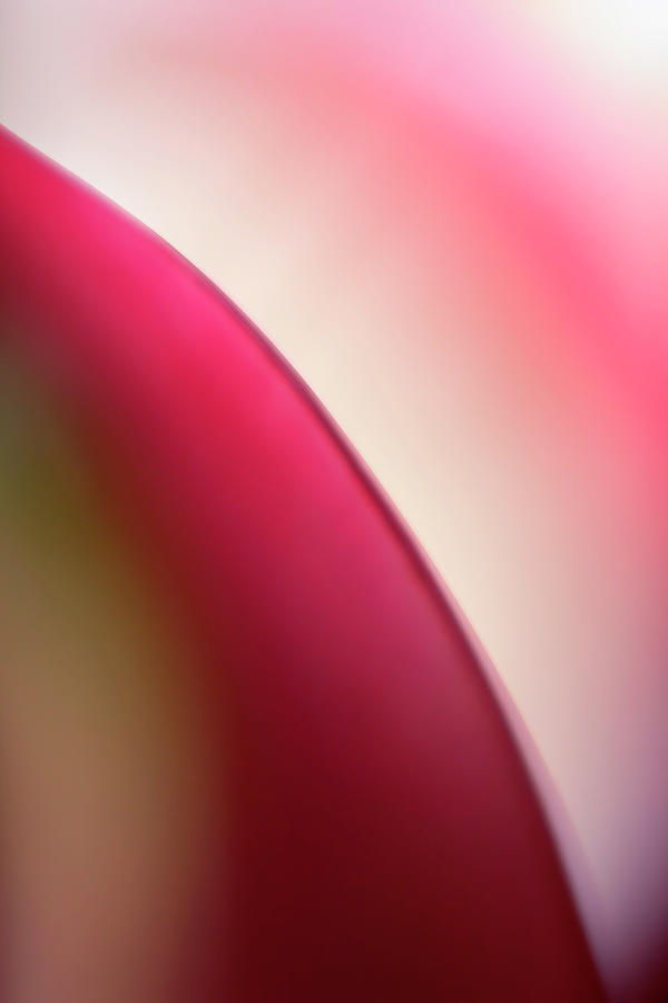 Abstract Colored Forms And Light #17 Photograph by Ralf Hiemisch