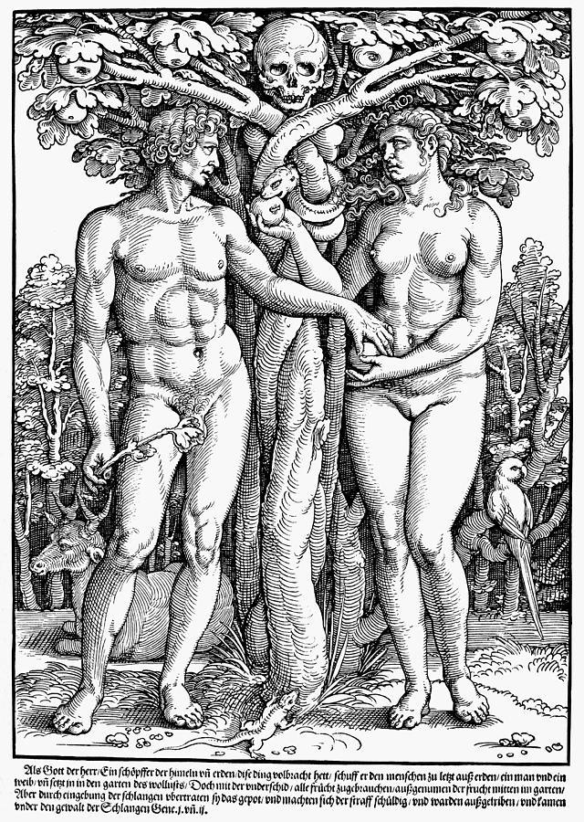 Adam And Eve #17 Painting by Granger