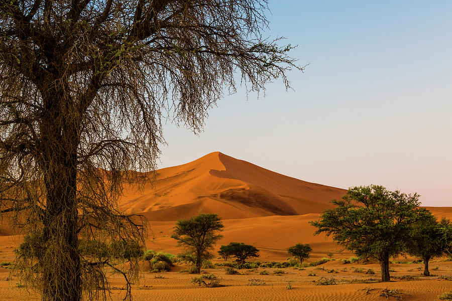 Landscape Photograph - Africa, Namibia, Namib-naukluft #17 by Jaynes Gallery