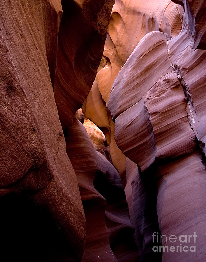 Gallery Photograph - Antelope Canyon #17 by Richard Smukler