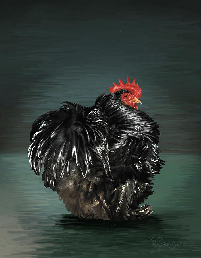 Chicken Digital Art - 17. Black frizzle cochin bantam by Sigrid Van Dort Chicken Digital Art - 17. Black frizzle cochin bantam by Sigrid Van Dort