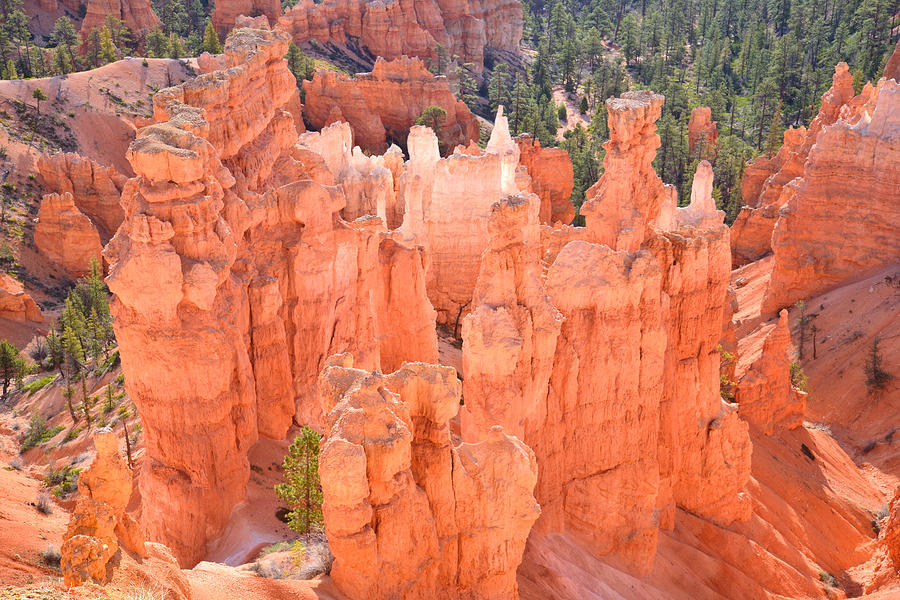 Bryce Canyon National Park Photograph - Bryce Canyon #6 by Ray Mathis