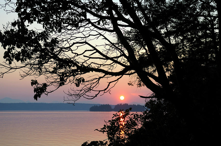 Sunset Photograph - Canada, British Columbia, Gulf Islands #17 by Kevin Oke