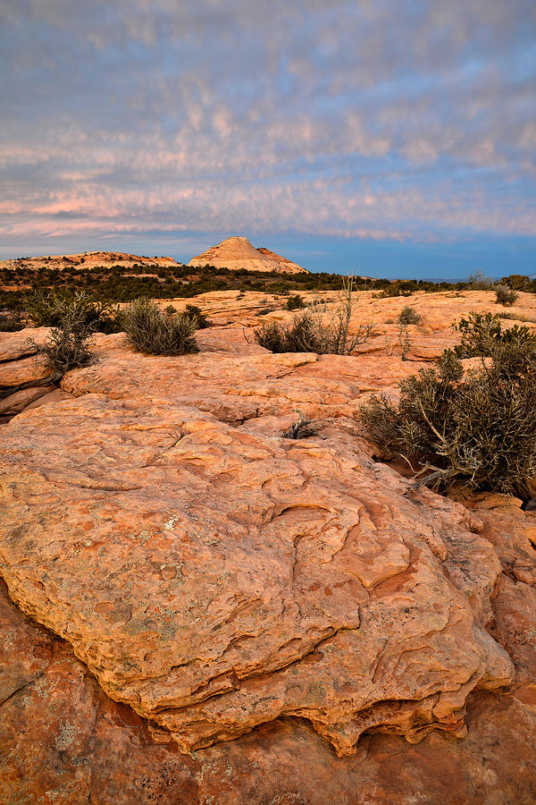 Canyonlands #12 Photograph by Ray Mathis