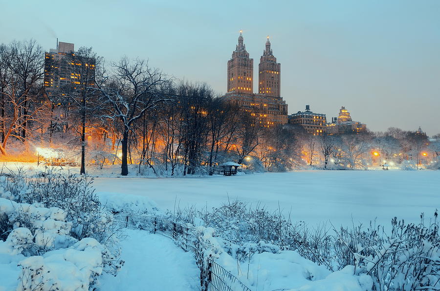 Central Park winter #17 Photograph by Songquan Deng