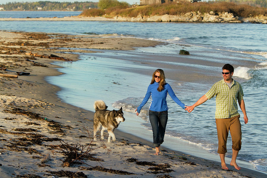 Coastal Life In Maine Photograph by Carl D. Walsh Fine Art America