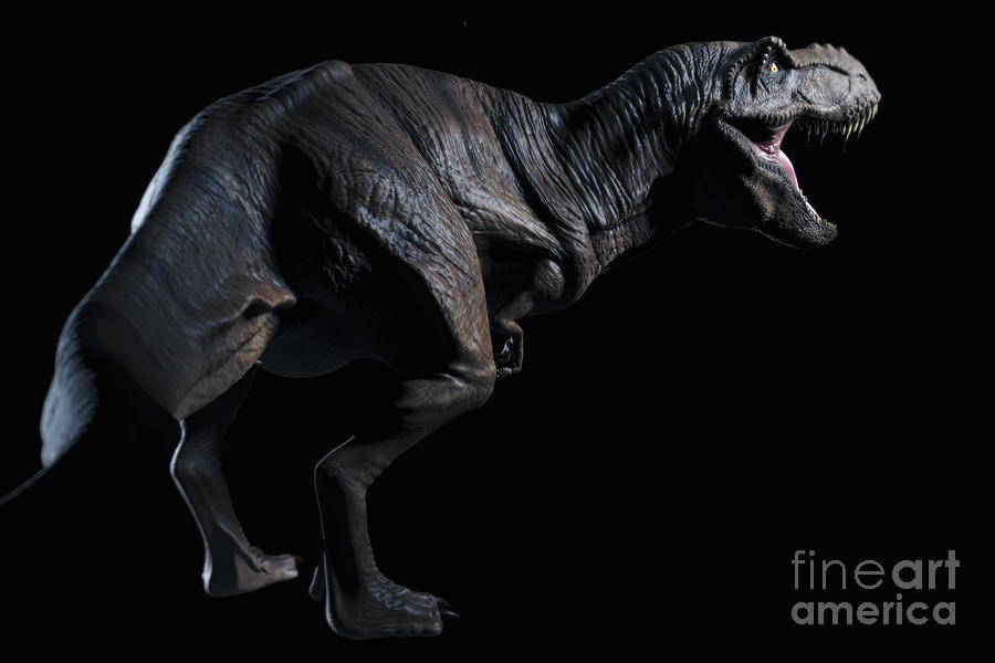 Dinosaur Tyrannosaurus #17 Photograph by Science Picture Co