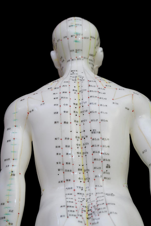 Human Body Acupuncture Points