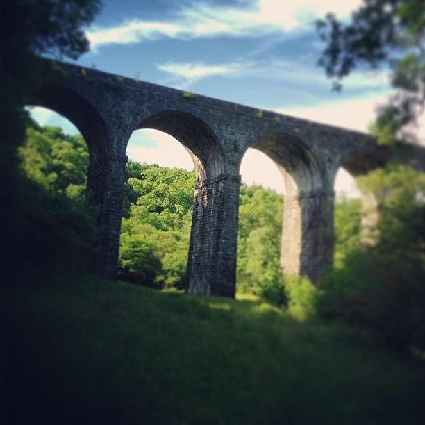 Summer Photograph - Instagram Photo #17 by Alex Nagle