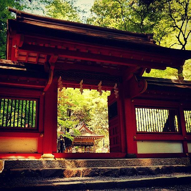 Beautiful Photograph - Kifune Shrine  貴船神社 #17 by My Senx