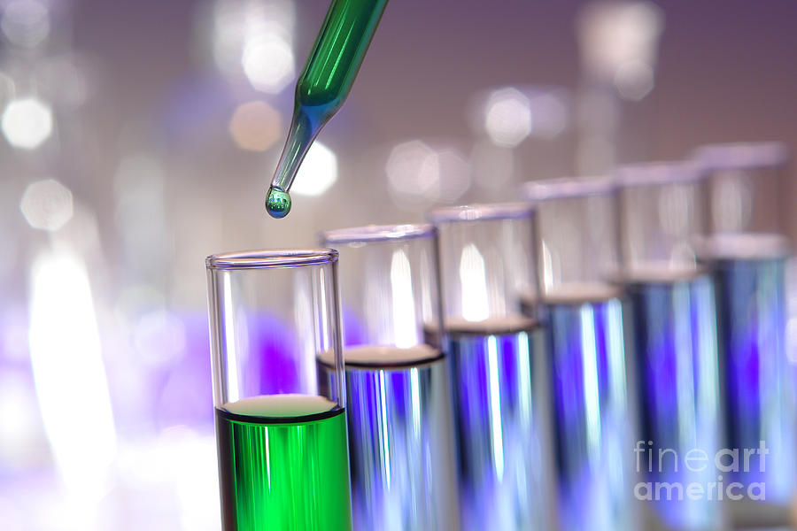 Laboratory Test Tubes In Science Research Lab Photograph