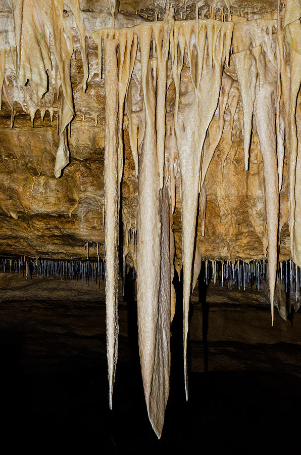 Natural Bridge Caverns, San Antonio, Tx #17 Photograph by Millard H. Sharp