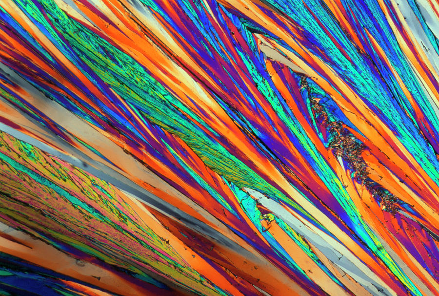 Plm Of Crystals Of Testosterone Photograph by Sidney Moulds/science ...