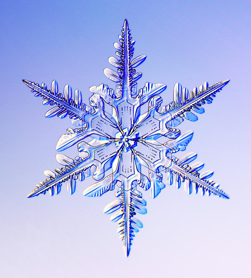 Snowflake #17 Photograph by Kenneth Libbrecht/science Photo Library