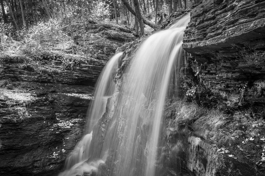 Waterfalls George W Childs National Park Painted BW   #17 Photograph by Rich Franco