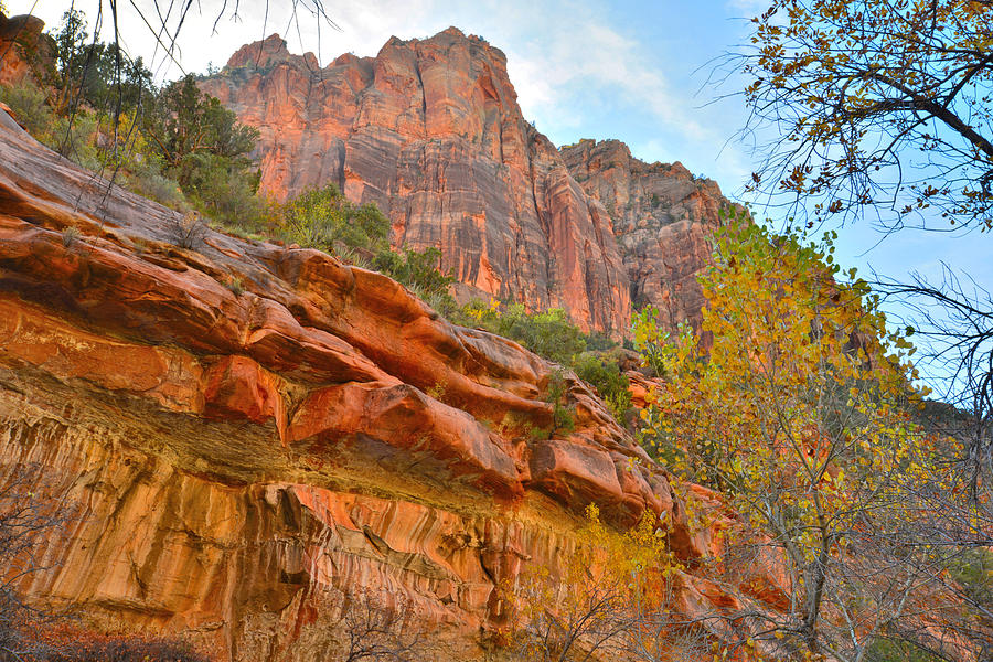 Zion National Park #7 Photograph by Ray Mathis