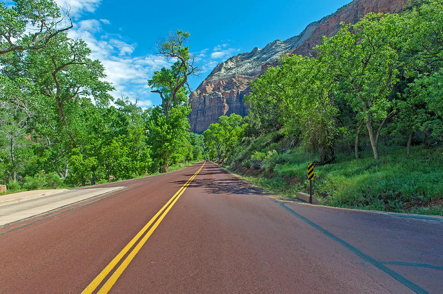 Zion National Park #17 Photograph by Willie Harper