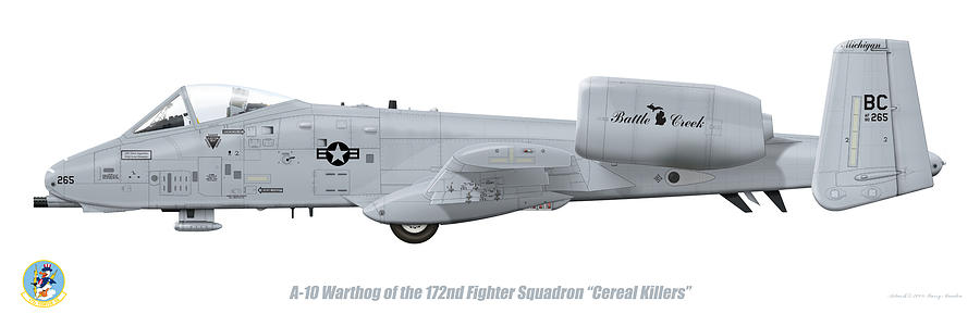 Jet Digital Art - 172nd FS A-10 Warthog by Barry Munden