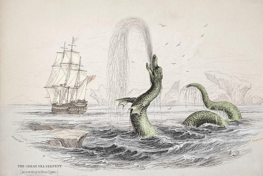 1734 Hans Egede Sea Monster Serpent Color Photograph by Paul D Stewart