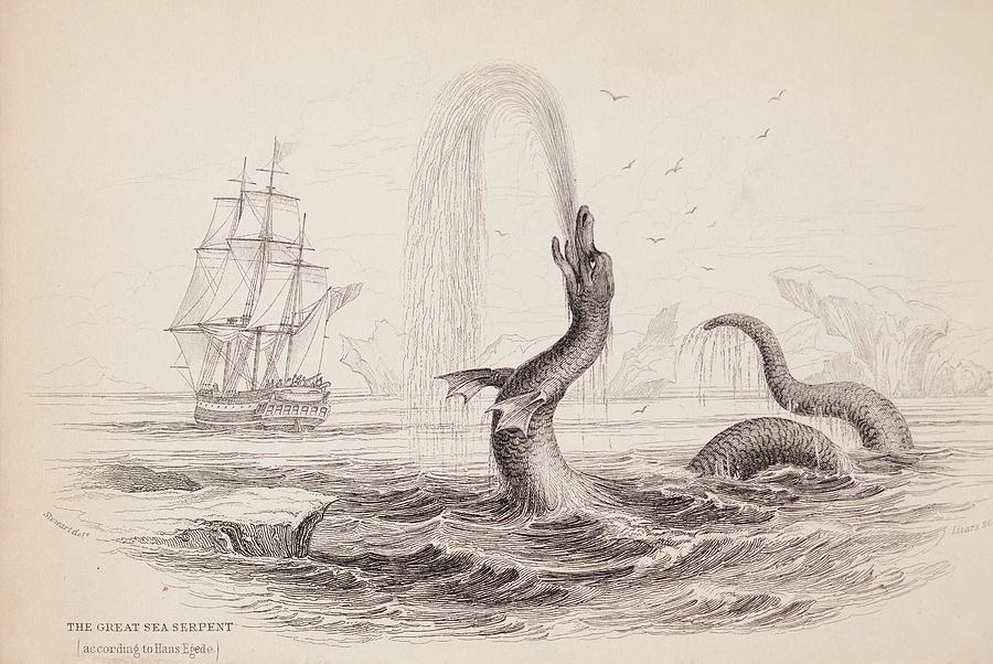 1734 Hans Egede Sea Monster Serpent Photograph by Paul D Stewart