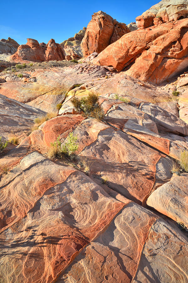 Las Vegas Photograph - Valley of Fire #166 by Ray Mathis