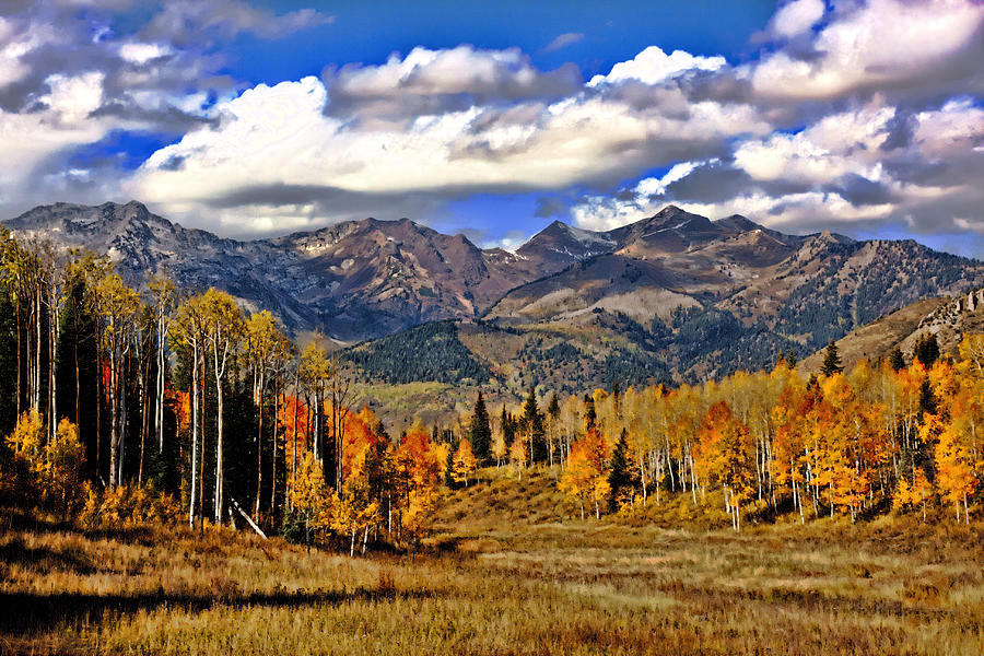 Rocky Mountain Fall #177 Photograph by Mark Smith