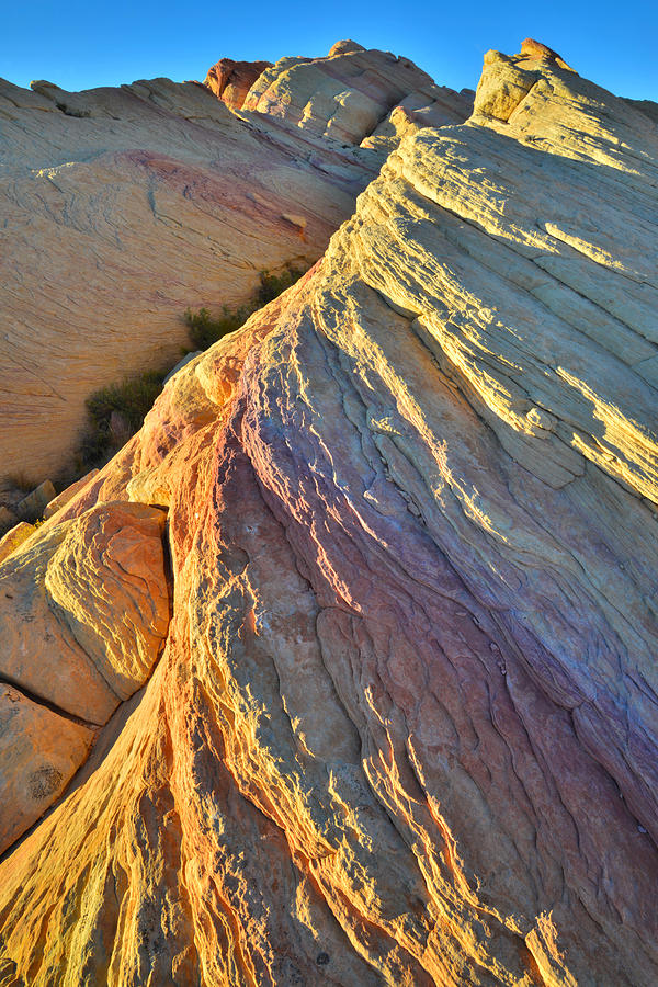Valley of Fire #179 Photograph by Ray Mathis