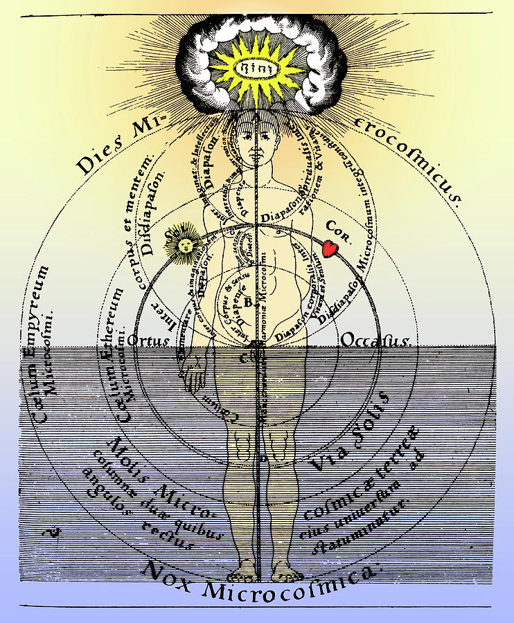 17th Century Medical Astrology Photograph By Cordelia Molloyscience Photo Library Pixels 8351