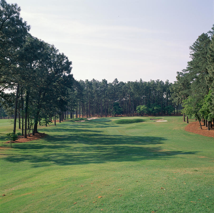 Nature Photograph - 17th Hole At Golf Course, Pinehurst by Panoramic Images
