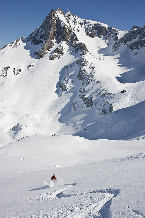 A Young Man Skis Untracked Powder Photograph by Henry Georgi - Fine Art ...