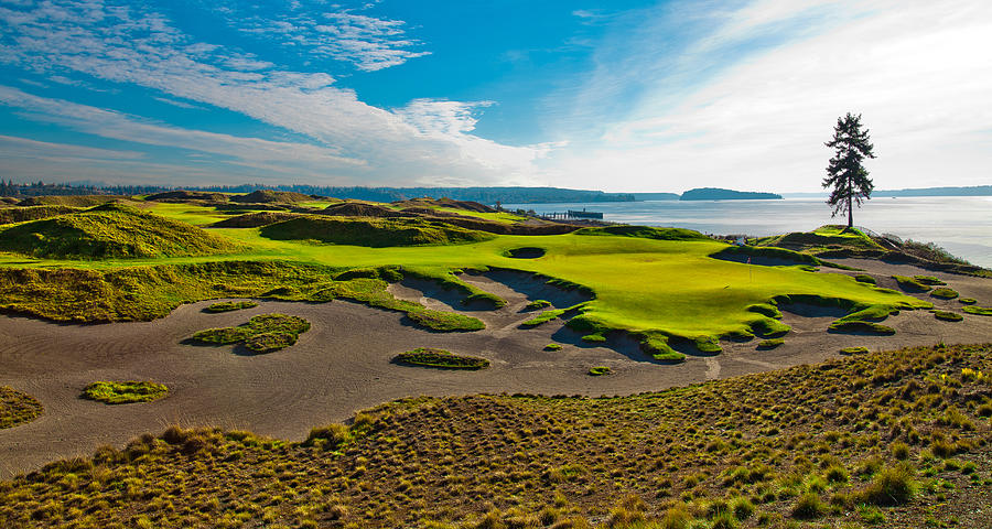 #15 at Chambers Bay Golf Course III #15 Photograph by David Patterson