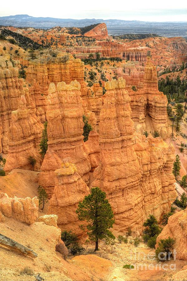Bryce Canyon  #18 Photograph by Marc Bittan