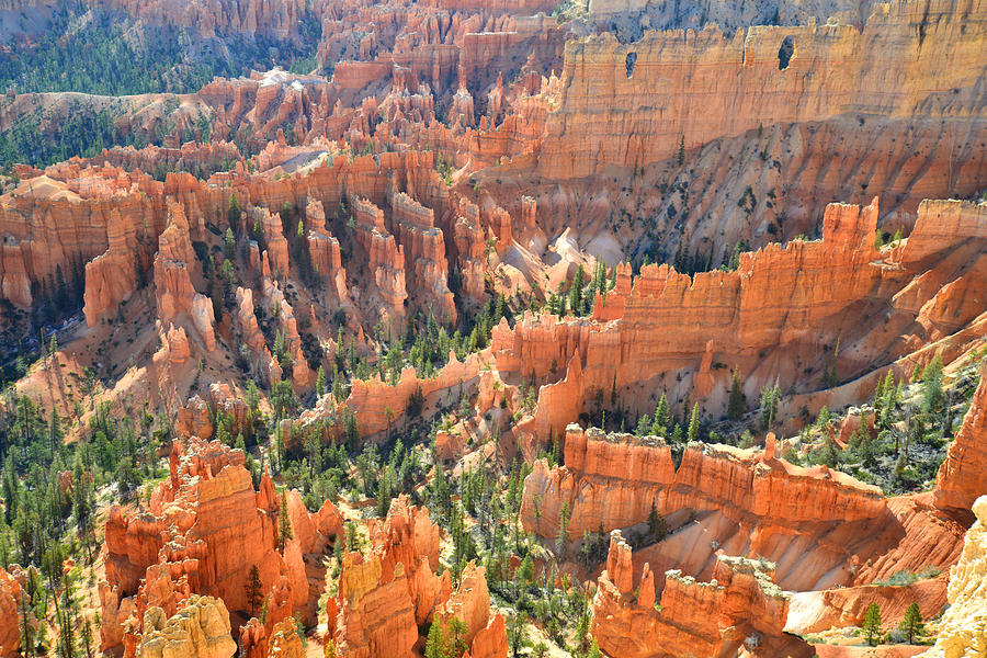 Bryce Canyon National Park Photograph - Bryce Canyon #29 by Ray Mathis