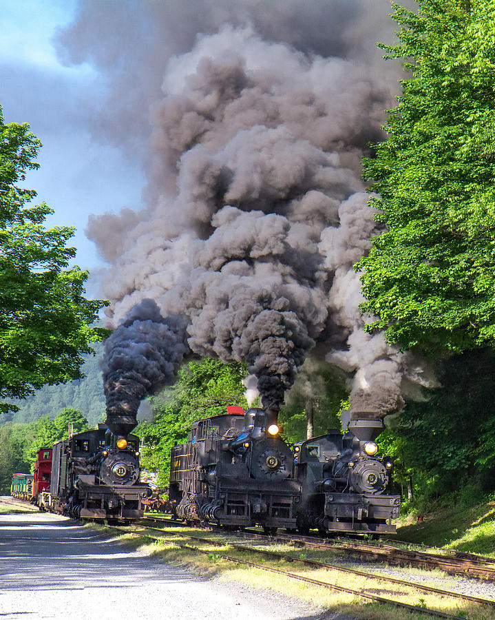 Cass Scenic Railroad #19 Photograph by Mary Almond