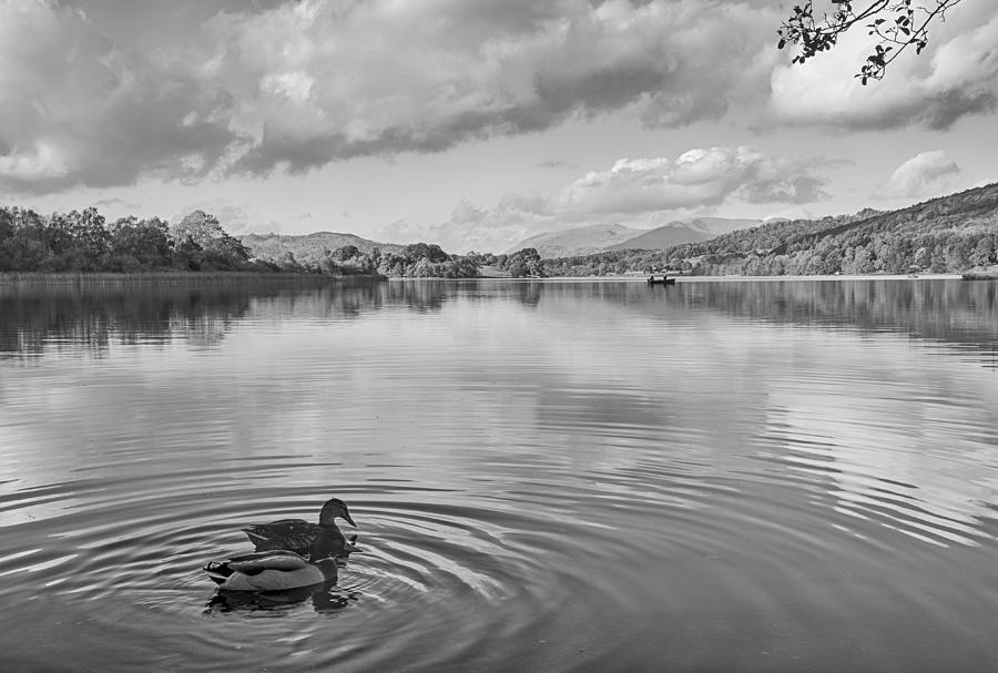 Nature Photograph - Esthwaite Water #18 by Graham Moore