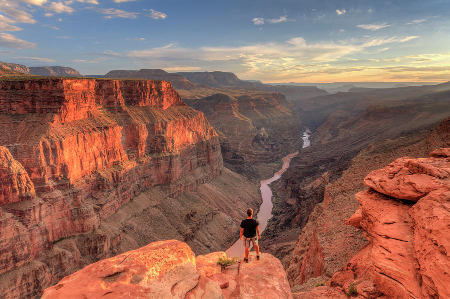 Grand Canyon National Park #18 Photograph by Michele Falzone