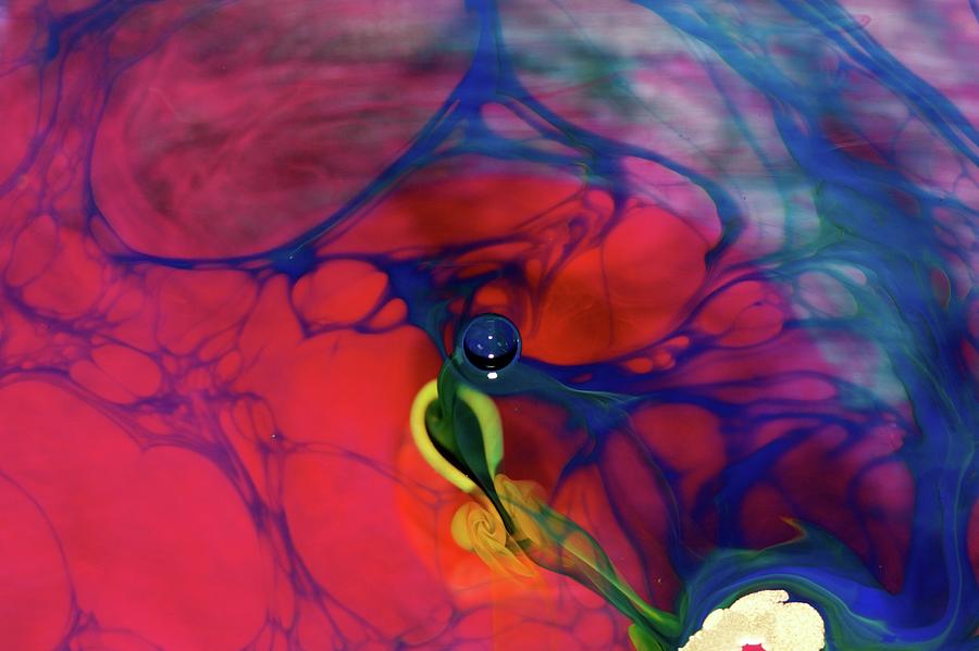 Ink Patterns In Water #18 Photograph by Pery Burge/science Photo Library