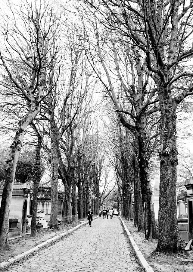 Pere-lachais Cemetery In Paris France Photograph