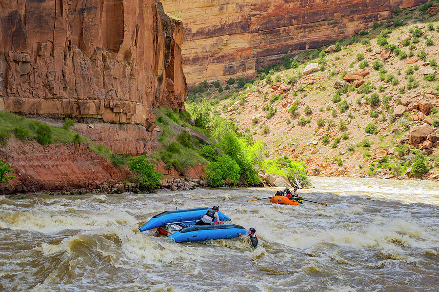 Rafting The Yampa Photograph by Taylor Reilly - Fine Art America